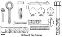 Cap Screws and Bolts